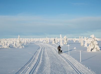 Cross-Country Skiing in Norway | Discover Norway