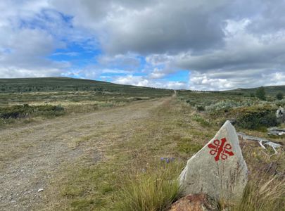 Fottur over Dovrefjell | Hike along the Pilegrim`s Path | Discover Norway, Miniferie med fottur over Dovrefjell