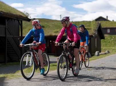 Multy day cycling | Sykkeltur i Gol og Valdres | Miniferie i Golsfjellet og Valdres | Discover Norway