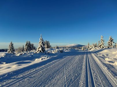 Cross-Country Skiing in Norway | Discover Norway