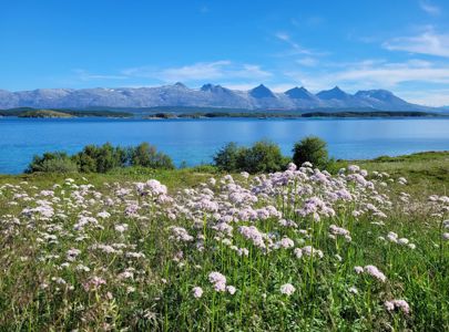 Sykkeltur på Helgelandskysten | Island Hopping by Bike in Northern Norway | Discover Norway