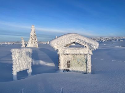 Cross-Country Skiing in Norway | Discover Norway