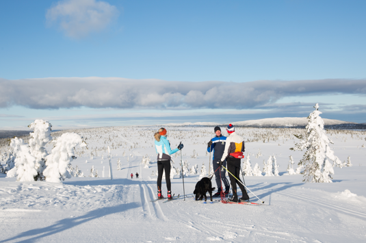 Cross-Country Skiing in Norway | Discover Norway