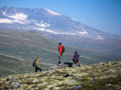 Fottur over Dovrefjell | Hike along the Pilegrim`s Path | Discover Norway, Miniferie med fottur over Dovrefjell