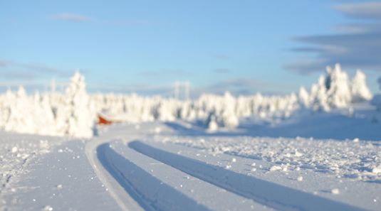 Cross-Country Skiing in Norway | Discover Norway