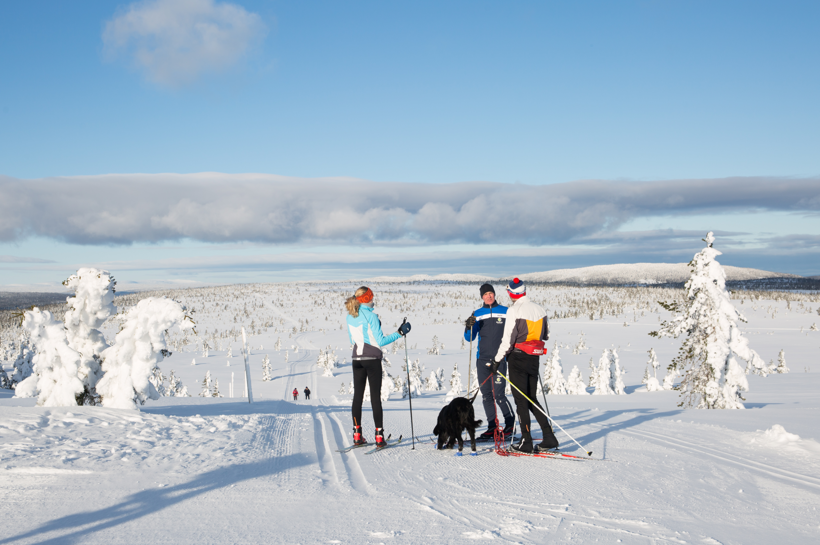 Skitur sør i Trolløypa | Ski tour in the south part of the Troll Trail | Discover Norway