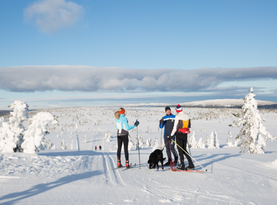 Skitur sør i Trolløypa | Ski tour in the south part of the Troll Trail | Discover Norway