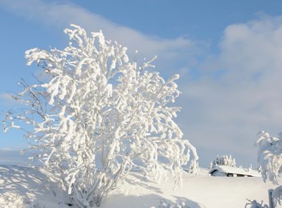 Skitur sør i Trolløypa | Ski tour in the south part of the Troll Trail | Discover Norway