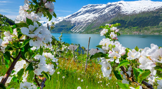 Sykkeltur i Hardanger | Bike tour around the Hardanger Fjord | Discover Norway