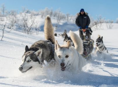 Discover Norway
