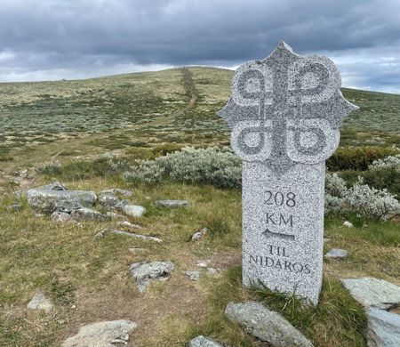 Fottur over Dovrefjell | Hike along the Pilegrim`s Path | Discover Norway