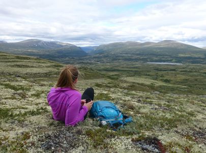 Fottur over Dovrefjell | Hike along the Pilegrim`s Path | Discover Norway, Miniferie med fottur over Dovrefjell