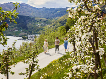 Sykkeltur i Hardanger | Bike tour around the Hardanger Fjord | Discover Norway
